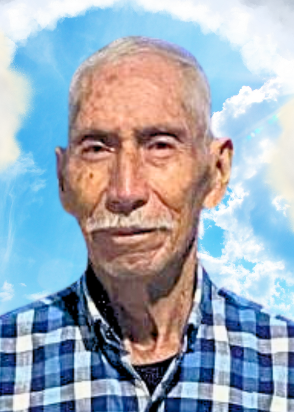 J. Guadalupe Pulido Ramos